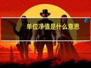 单位净值是什么意思（净值是什么意思）