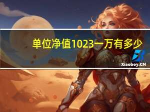 单位净值1023一万有多少
