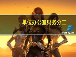 单位办公室财务分工