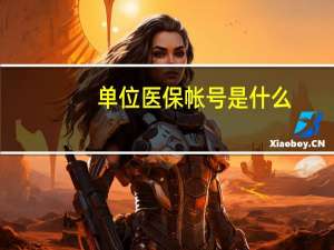 单位医保帐号是什么
