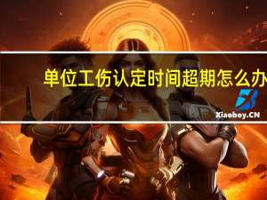 单位工伤认定时间超期怎么办