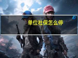 单位社保怎么停