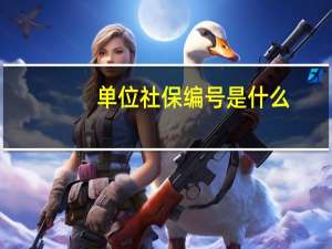 单位社保编号是什么