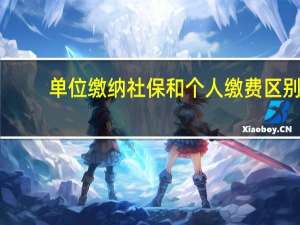 单位缴纳社保和个人缴费区别