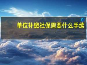 单位补缴社保需要什么手续