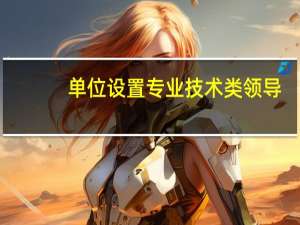 单位设置专业技术类领导，或者总工职位吗