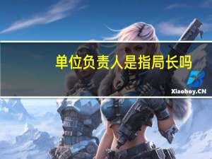 单位负责人是指局长吗（单位负责人是指）