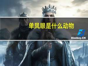 单凤眼是什么动物