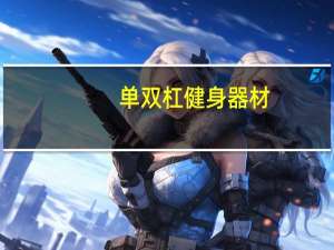 单双杠健身器材（健身器材单杠）