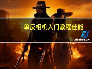 单反相机入门教程佳能（单反相机入门）
