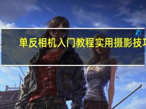 单反相机入门教程实用摄影技巧（单反相机入门教程）