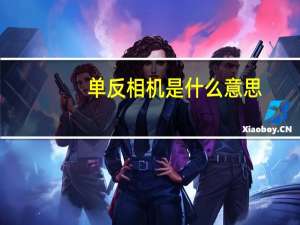 单反相机是什么意思（单反相机是什么）