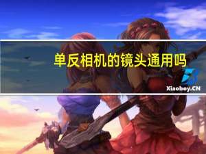 单反相机的镜头通用吗（单反相机的镜头）