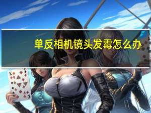单反相机镜头发霉怎么办（单反相机镜头）