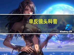 单反镜头科普（单反镜头分类）