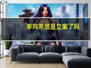 单向冻结是立案了吗