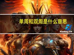 单周和双周是什么意思