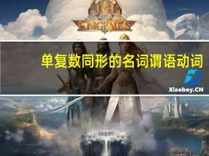 单复数同形的名词谓语动词