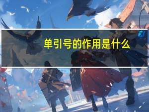 单引号的作用是什么