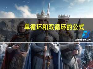 单循环和双循环的公式