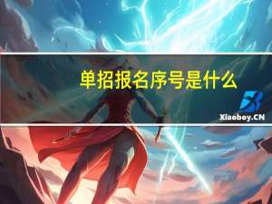 单招报名序号是什么