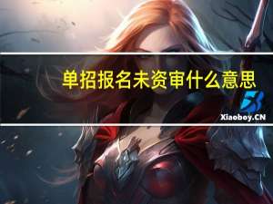 单招报名未资审什么意思