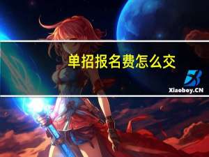 单招报名费怎么交