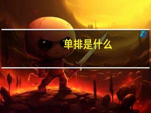 单排是什么
