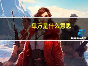 单方是什么意思