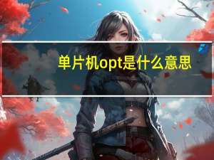 单片机opt是什么意思