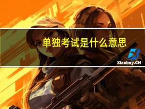单独考试是什么意思