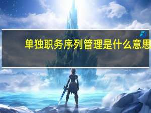 单独职务序列管理是什么意思
