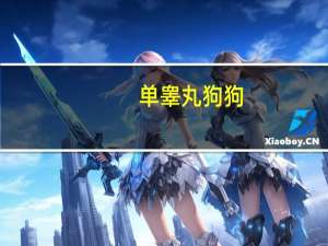 单睾丸狗狗