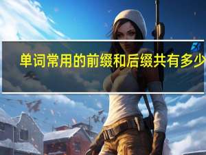 单词常用的前缀和后缀共有多少个