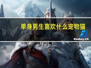 单身男生喜欢什么宠物猫
