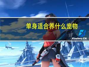 单身适合养什么宠物