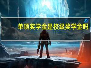 单项奖学金是校级奖学金吗