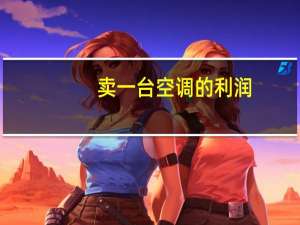 卖一台空调的利润