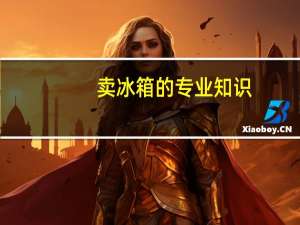 卖冰箱的专业知识