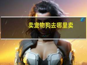 卖宠物狗去哪里卖