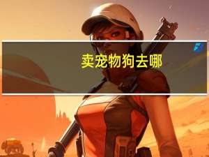 卖宠物狗去哪