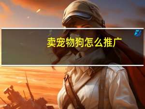 卖宠物狗怎么推广