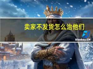 卖家不发货怎么治他们