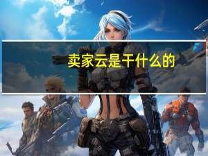 卖家云是干什么的（卖家云登录）