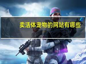 卖活体宠物的网站有哪些