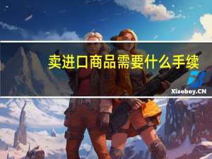 卖进口商品需要什么手续