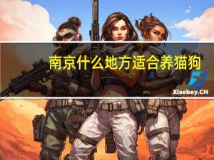 南京什么地方适合养猫狗