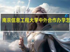 南京信息工程大学中外合作办学怎么样