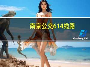 南京公交614线路（南京公交614路简介）