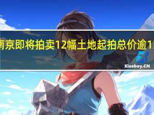 南京即将拍卖12幅土地 起拍总价逾137亿元